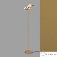 Holtkoetter, Supernova linea, Nova, Nova OOG, Nova Flex, Nova Plano, Plano, Aura, Favor, Supernova DW, Supernova PW, Supernova, Janus, Circular, Avior, Vita, Fifties, Epsilon