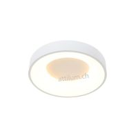 LED Dela RINGLEDE 30 weiss
