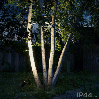 bik.4 spike - anthrazit