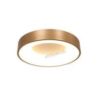 LED Dela RINGLEDE 38 gold geb.