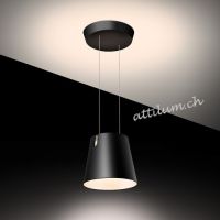 FEZ DZ DTW schwarz -ready