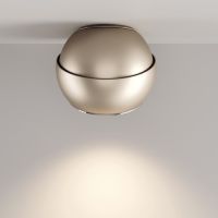 Spider Dela champagner matt 3000K