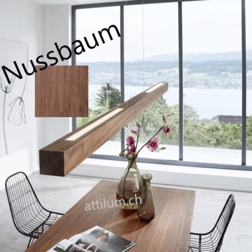 Titlis 2 Pendel NUSSBAUM100cm Phasendim.