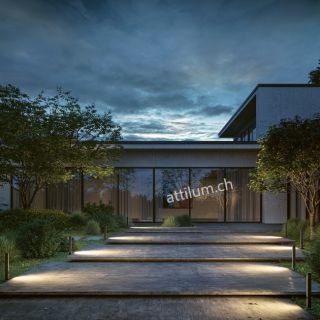 lin 40 Poller anthrazit