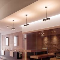 PUK! Pro 120 Wing ll 30cm - blackwood geb.