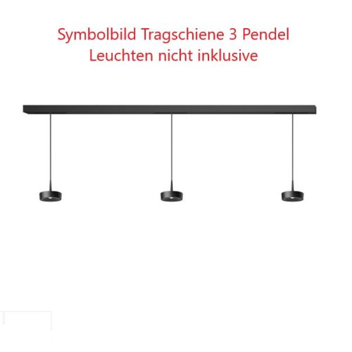 Tragschiene 3 Pendel DALI dim. schwarz RAL9005