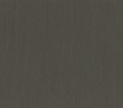 Epsilon RR 1630 platin
