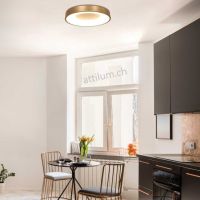 LED Dela RINGLEDE 48 goldl geb.