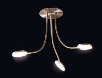 Keine Abbildung zugeordnet