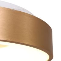 LED Dela RINGLEDE 48 goldl geb.
