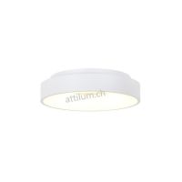LED Dela RINGLEDE 30 weiss