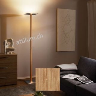 Säntis 2 Stela EICHE