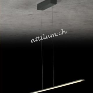 Epsilon RR 1230 silbermatt