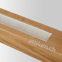 Titlis 2 Pendel EICHE 156cm Phasendim.