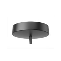 Baldachin 1 Pendel DALI dim schwarz RAL9005