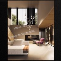 Rain schwarz RAL 9005- bronze 2700K