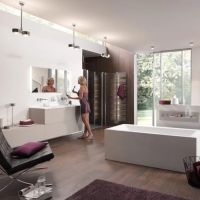 PUK! Pro 80 Wing ll 30cm - anthrazit matt