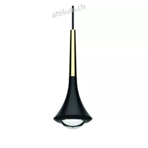 Rain schwarz RAL 9005 - gold 2700K