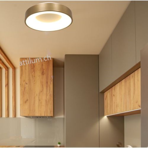 LED Dela RINGLEDE 30 gold geb.