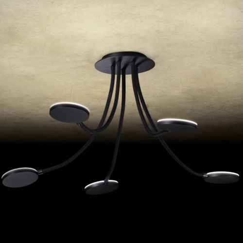 Flex D5 Platin-schwarz